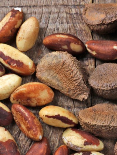 brazil nuts in and out of the shells