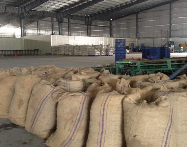 Warehouse Storage of Cashews