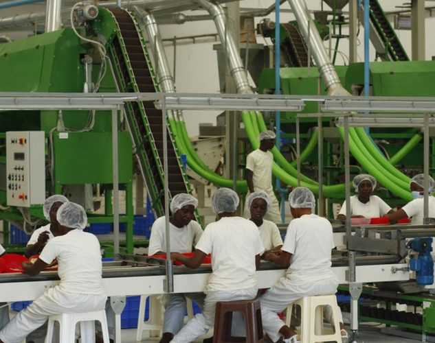 Cashew Factory