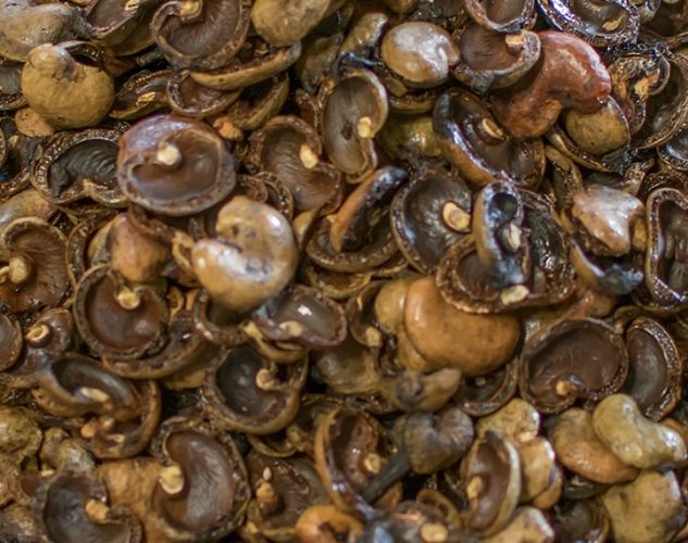 website design food broker cashew shells